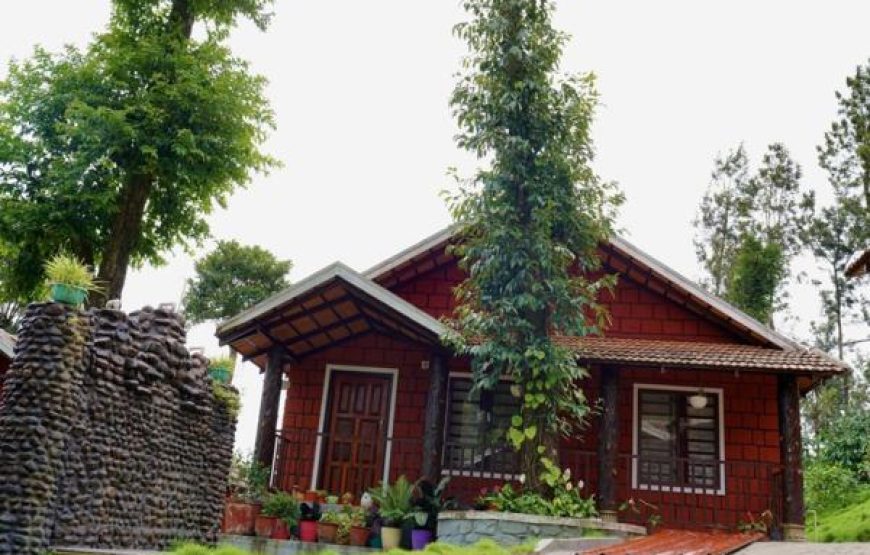 Standard Double Room - AP