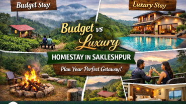 Budget vs Luxury Homestay in Sakleshpur showing coffee estate stay, swimming pool villa, bonfire area and scenic hill views at Homestay In Sakleshpur | Planters County.