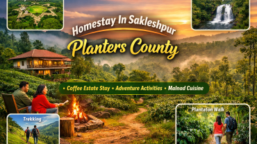 Best Homestay in Sakleshpur with activities at Planters County coffee estate homestay surrounded by Western Ghats nature, trekking, waterfalls and plantation walks.