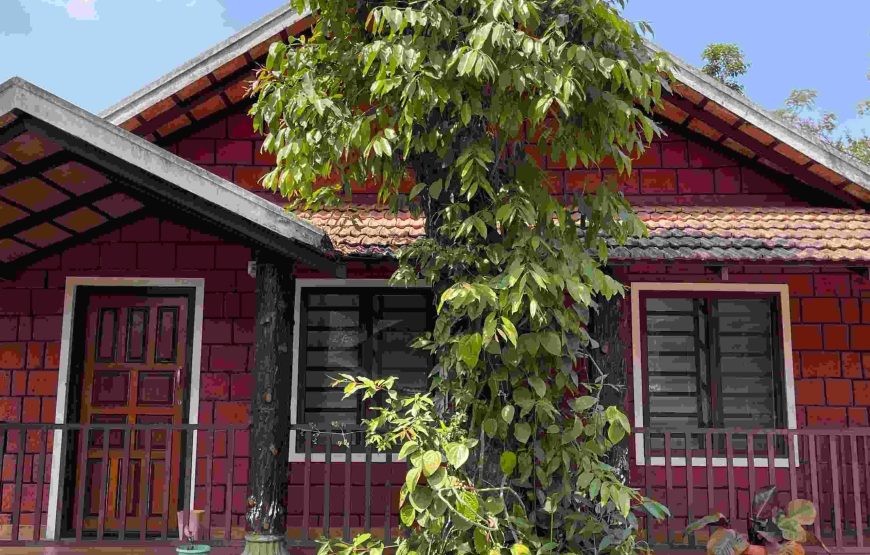 Standard Quadruple / Family Room Cottage - AP