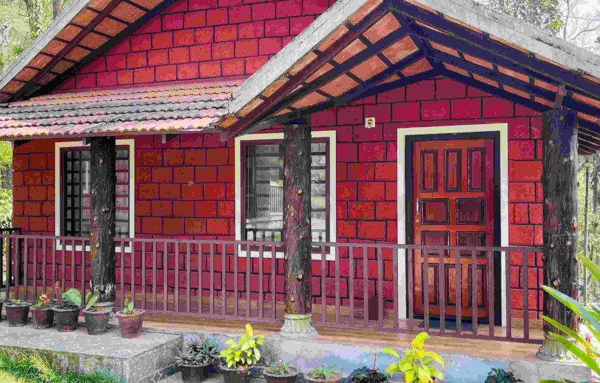 Standard Quadruple / Family Room Cottage - AP