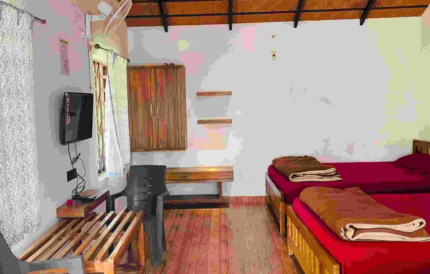 Standard Quadruple / Family Room Cottage - AP