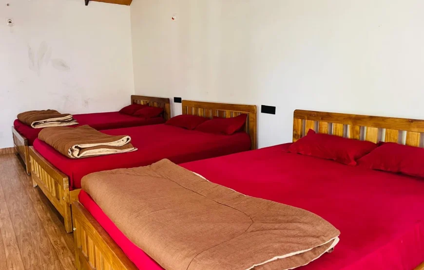 Donigal Sakleshpura Homestay