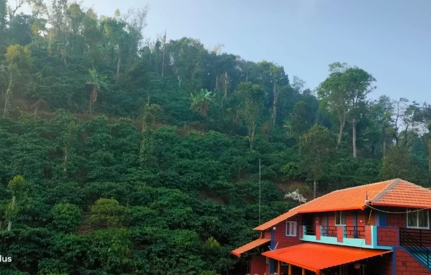 Kyanahalli Sakleshpur Homestay
